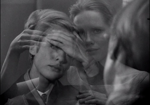 inneroptics:    Liv Ullmann and Bibi Andersson in Persona (1966)