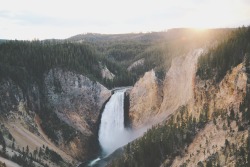jaymegordon:  Lower Yellowstone Falls IV ➾ Jayme Gordon 