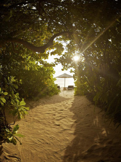 visitheworld:  The way to the beach, Park Hyatt, Maldives (by