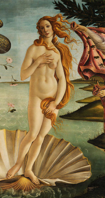 artfoli:  The Birth of Venus (1483-85), by Sandro Botticelli