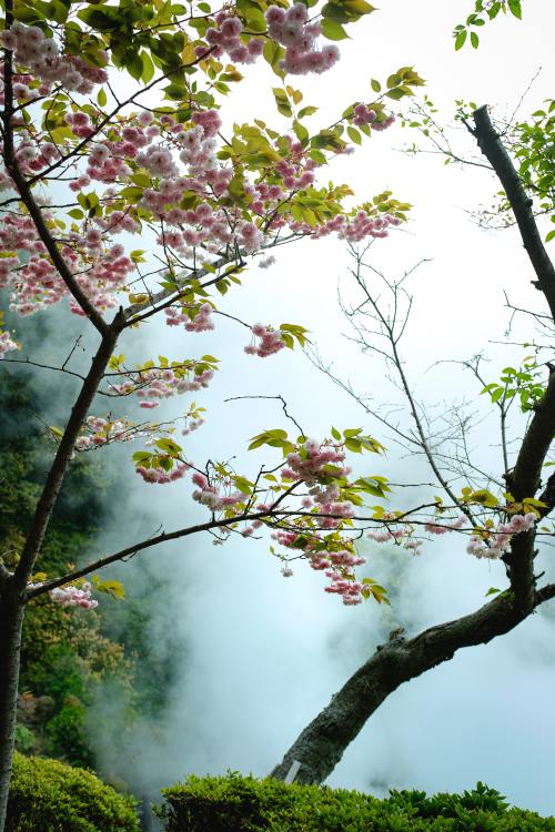 expressions-of-nature:Beppu, Japan by Christian Chen