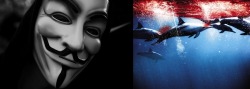 thelovelyseas:   Japanese government website hacked by Anonymous