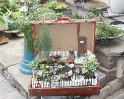 a-mini-a-day:  Nice container ideas from Oak Park Water Garden