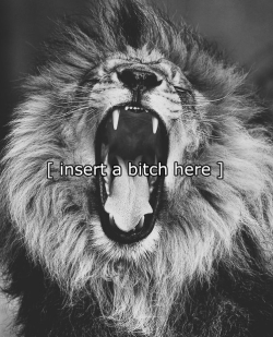 lion on We Heart It - http://weheartit.com/entry/54143043/via/LaraCoiimbra