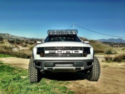 BeardsBluntsBroncos