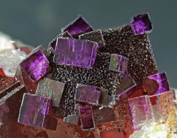 mineralists:  FluoriteClara Mine, Germany 