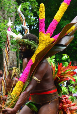   Vanuatu man, via Austronesian Expeditions   