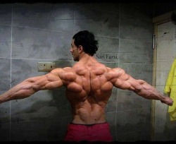 pmw07:  just4thehealthofit 