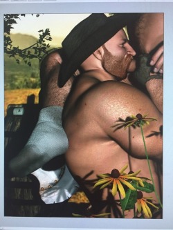 “Ginger Cowboy pleasing his partner 3” Contact me to purchase