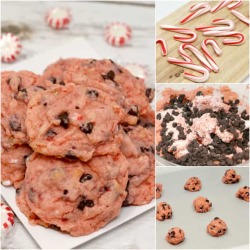 foodffs:  PEPPERMINT CHOCOLATE CHIP COOKIES https://butterwithasideofbread.com/peppermint-chocolate-chip-pudding-cookies/