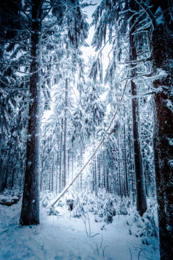 mountaineous: Winter is just beautiful - mountaineous taken at