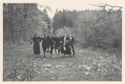 simple-insomnia:  Group of women dancing down a forest path 
