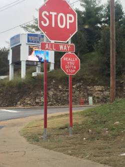 only1600kids:  stop signs are getting really sassy 