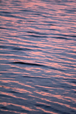  The most pink dappled water i’ve seen before. This sunset