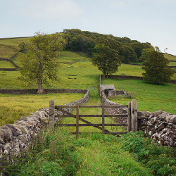 sharee-ashcraft:  Stone Walls, Settle, England 