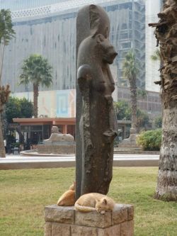 mythosidhe:  Sekmet with her kitties - Cairo Museum [x] Most