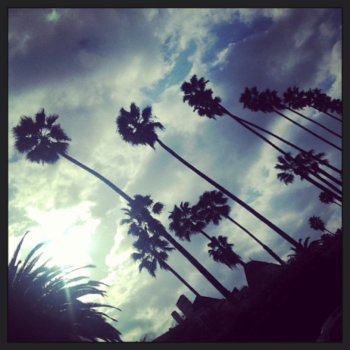 My trip to LA ðŸ˜ðŸŒ´ðŸŒŸðŸ’‹ #la #californiadreamin #oldpost #photoshoot #palmtrees #nofilter #beautiful  (at Beverly Hills)
