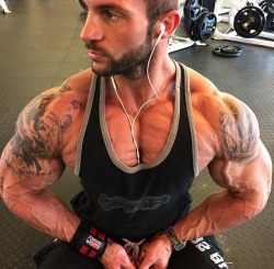 musclepuppy:  💪 Gymspiration of the Day