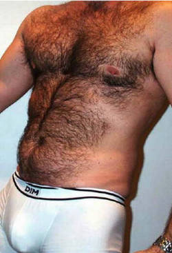 sambrcln:   The two hairy men blogs: http://sambrcln.tumblr.com/archive