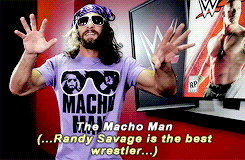 “Macho” Rollins on Every Wrestler Ever 