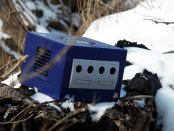 tacomao:  and here we see the Gamecube in it’s natural habitat.