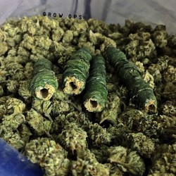 stoner.in.disguise