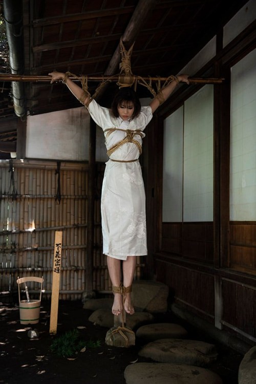 mai8chan:  Kinbaku Ren YagamiModel  Takigawa  Photo Norio Sugiura