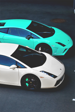 wearevanity:  Gallardo & Squadra Corse 