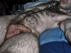 budsplay:  So hairy and hot and sexy  woof