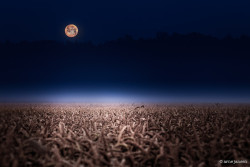 50bestphotos:  full moon by hibaxxvi http://ift.tt/1oSOFMI 