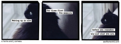 softerworld:  A Softer World: 949 (then what? you have to get