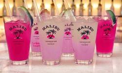 its malibu bitch on We Heart It http://weheartit.com/entry/72155277/via/SalonikaBitchez