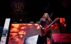 MARK MORTON