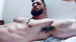 machos-sumisos-alpha-male-sub: