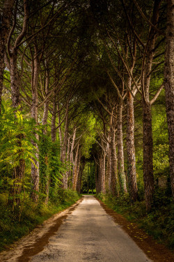 l0stship:  Road Umbria / by Daniele Silvestri (source)