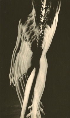 thegreatinthesmall:  Lieberman, Archie - Multiple exposure (nude)