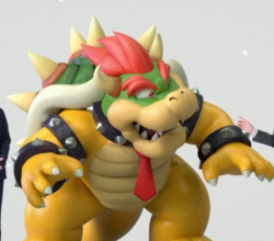 youthfuldipwad:  HE’S THE RIGHT BOWSER TO ME!!!!!!!! LET HIM