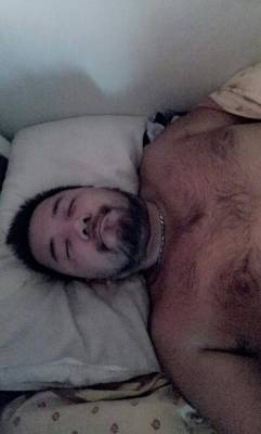 Asian Stocky Bears Haven and others :D