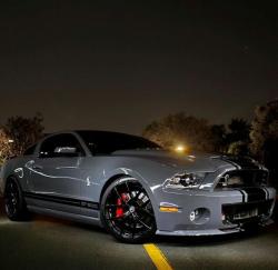 musclecars4ever:  i want this snake *_*