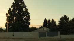 heyreallygiger:Wendy & Lucy (2008) · Kelly Reichardt