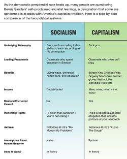 Socialism vs Capitalism - The Onion