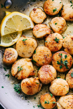 a-sweetheart-being-40: izzysfood: Garlic Butter Herb Scallops