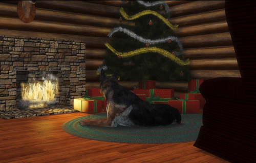 <p>Waiting for Santa</p>