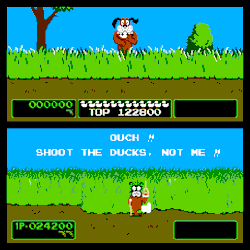 brotherbrain:  In the arcade version of Duck Hunt you could actually