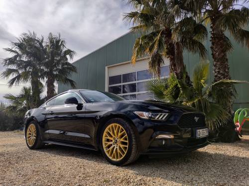 frenchcurious:Ford Mustang fastback 2.3 EcoBoost 317cv de 2016.