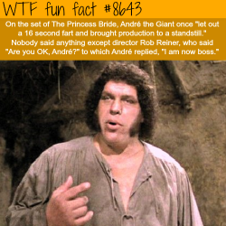 theshyxibitionista:  wtf-fun-factss:Andre the Giant’s fart