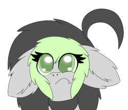 askbreejetpaw:  wats going on  Confused Bree is adorably confused.