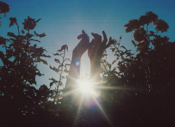 silva1996:  †SunshineFlowersHappiness❁ | via Tumblr on We