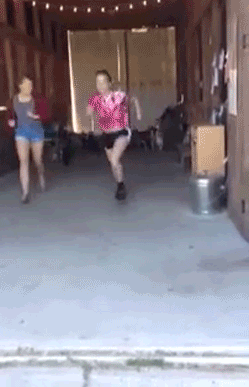 onlylolgifs:  Running of the Baby Goats