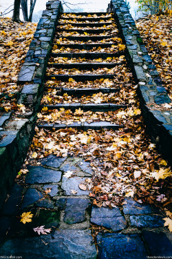 thliii:  11.24.14                   Theodore Lewis